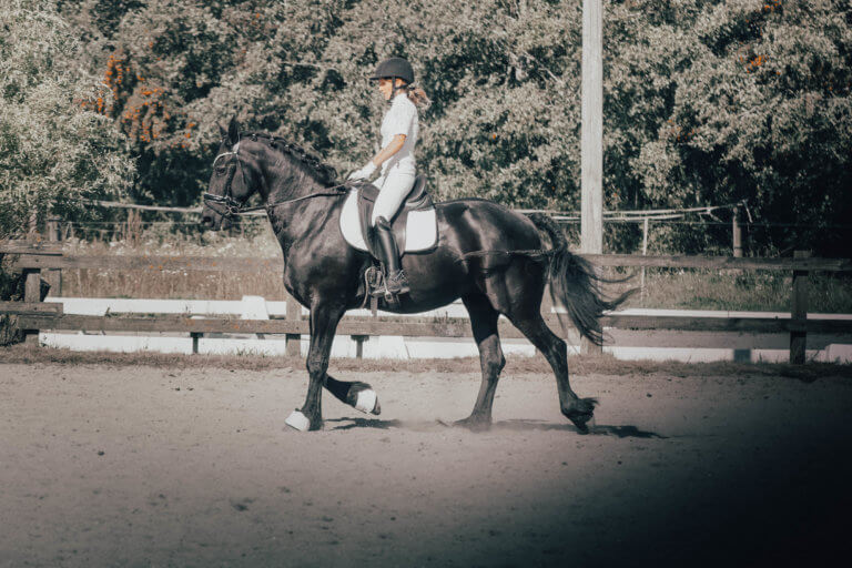 Read more about the article jeg skulle tage billeder og film af Rytter til hest og det var virkelig sjovt at prøve